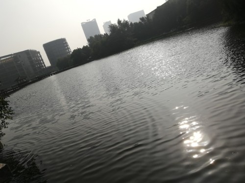 芜湖文化公园旅行图片 3
