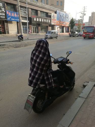 辽河公园旅行图片 1