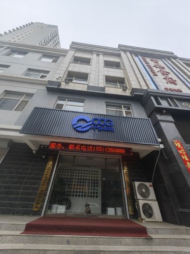 中咨环球