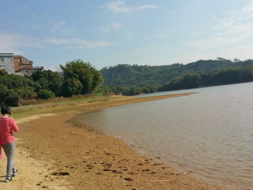 信宜市高城水库湿地公园旅行图片 1