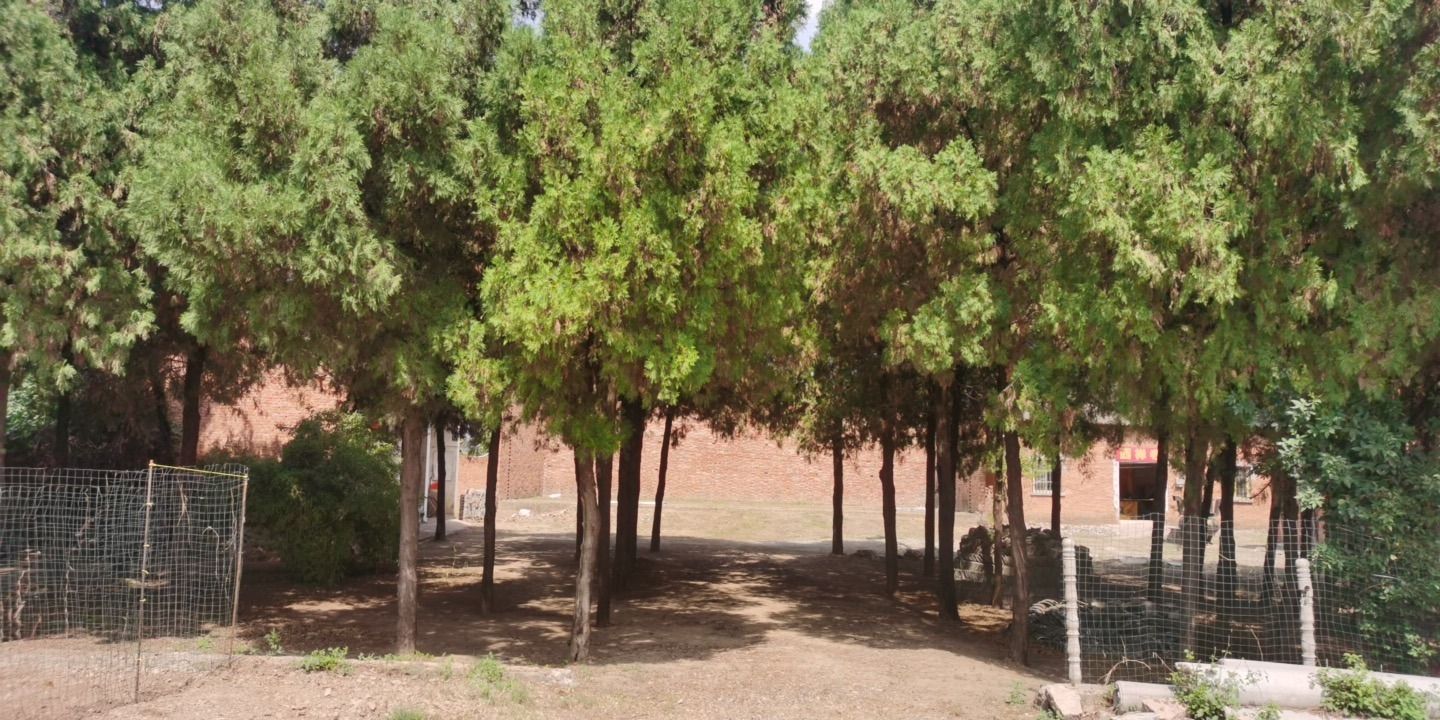 西禅寺实景照片