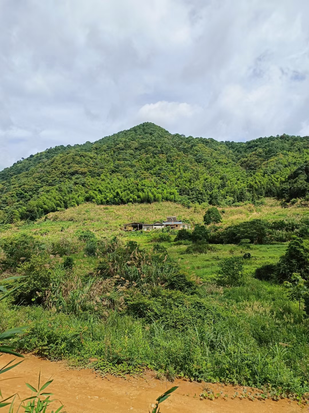 支提山慧日古寺实景照片