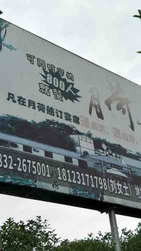 黄鹤湖旅行图片 1