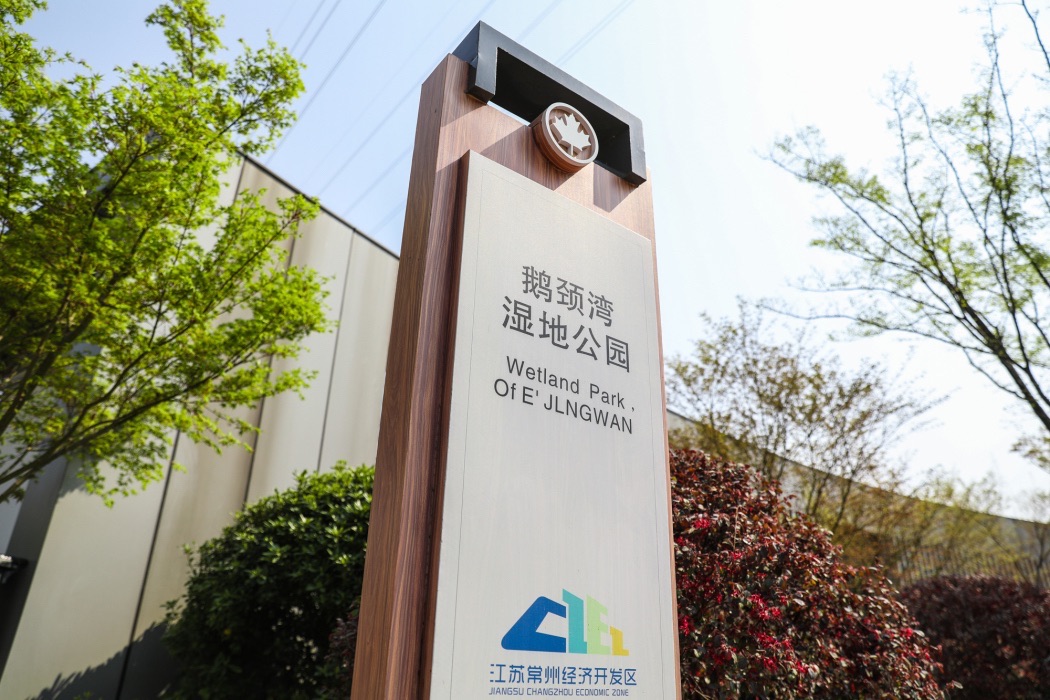 鹅颈湾生态湿地公园