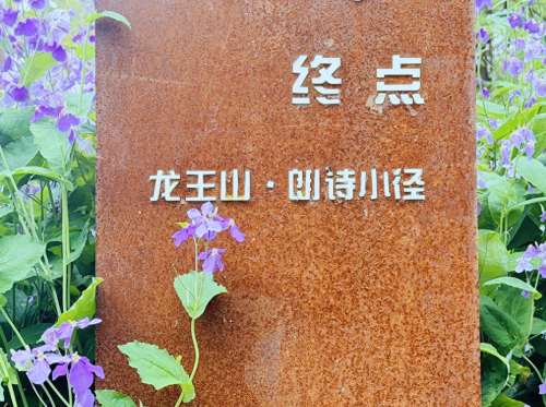 龙王山风景区