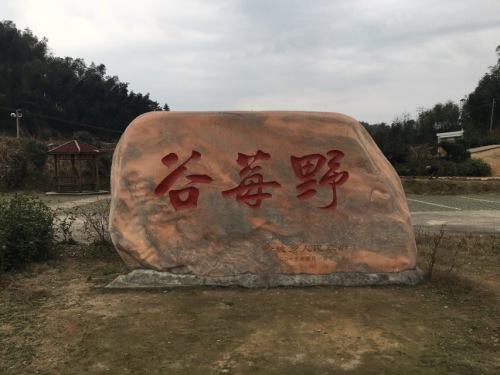 衡山野莓谷旅行图片 3