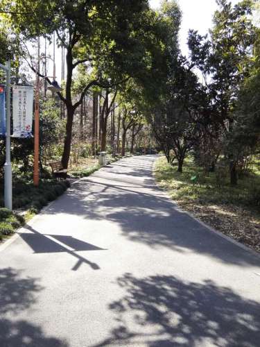 民星公园旅行图片
