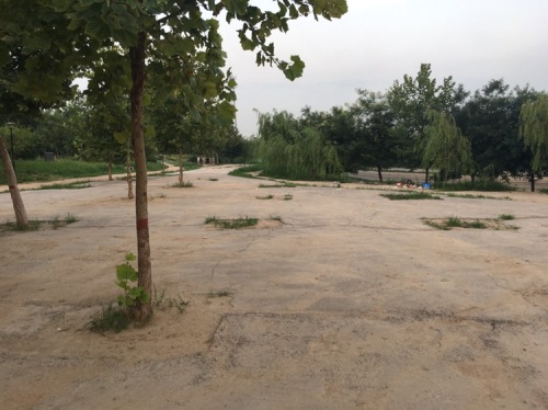 楼底公园旅行图片 1