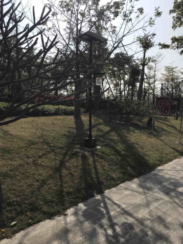 凤山公园旅行图片 3