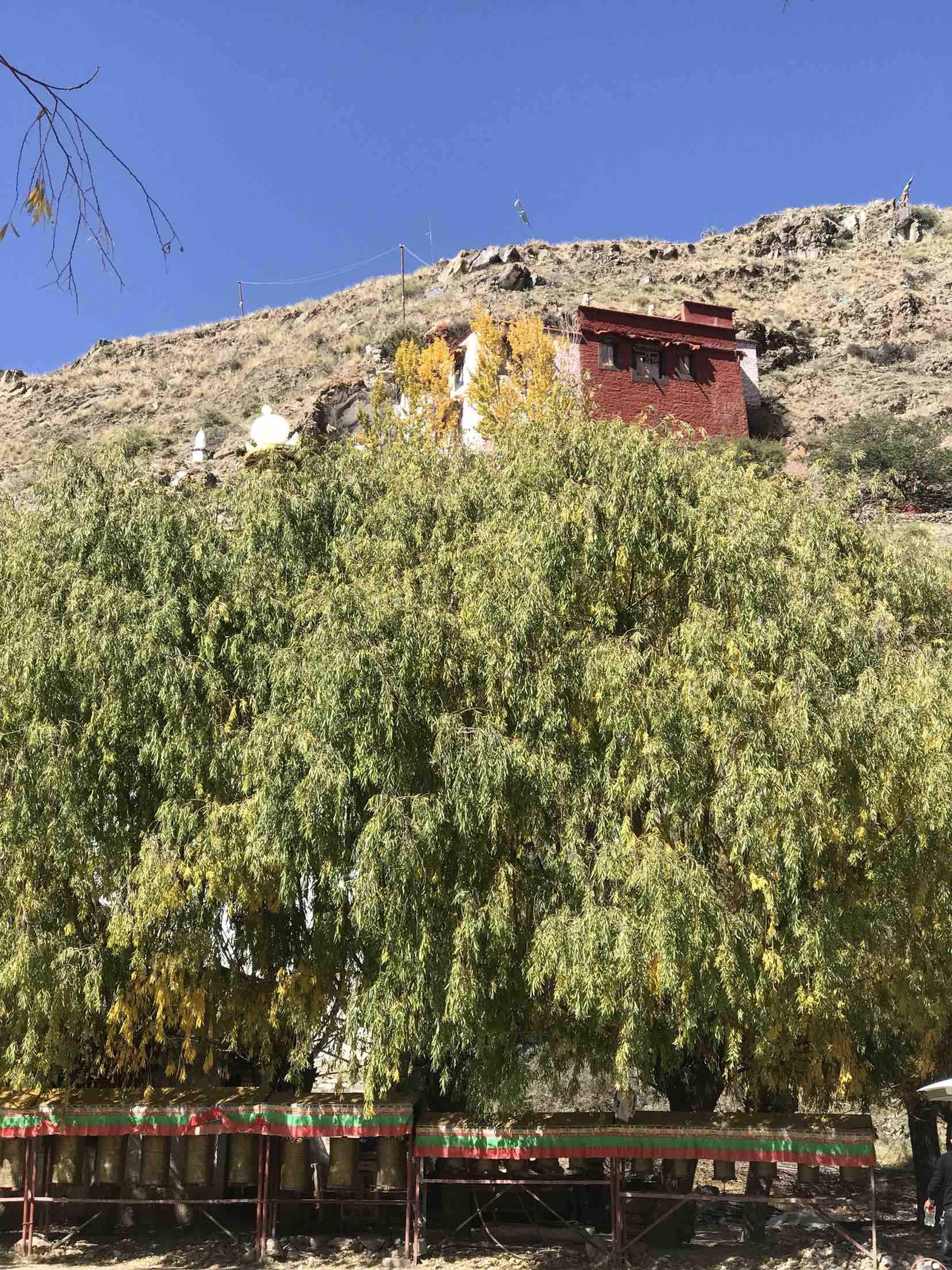 朗热塔波扎仓寺实景照片