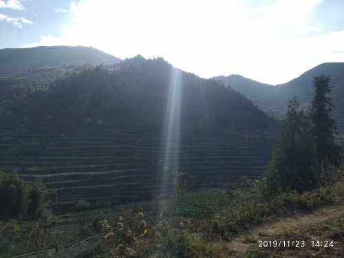 大莱梯田旅行图片 2