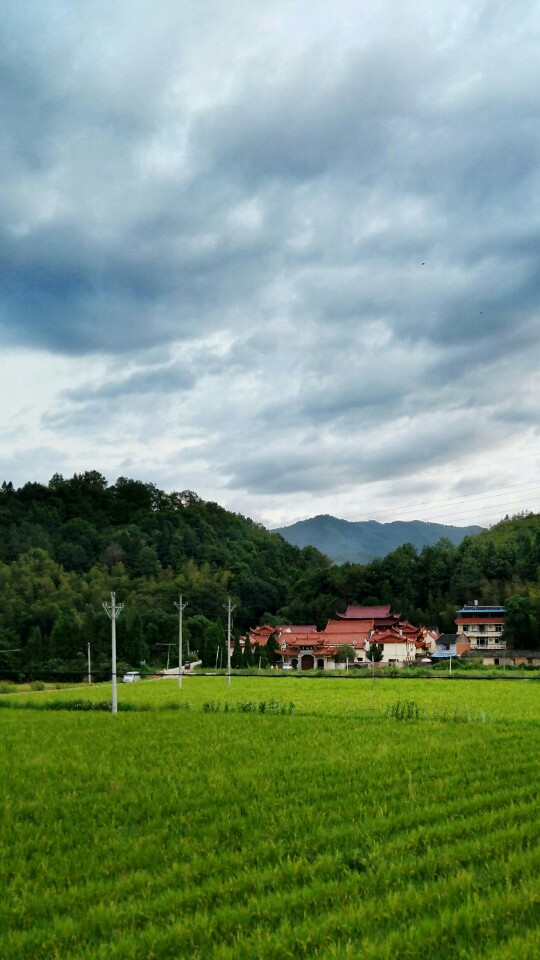 隆福寺实景照片