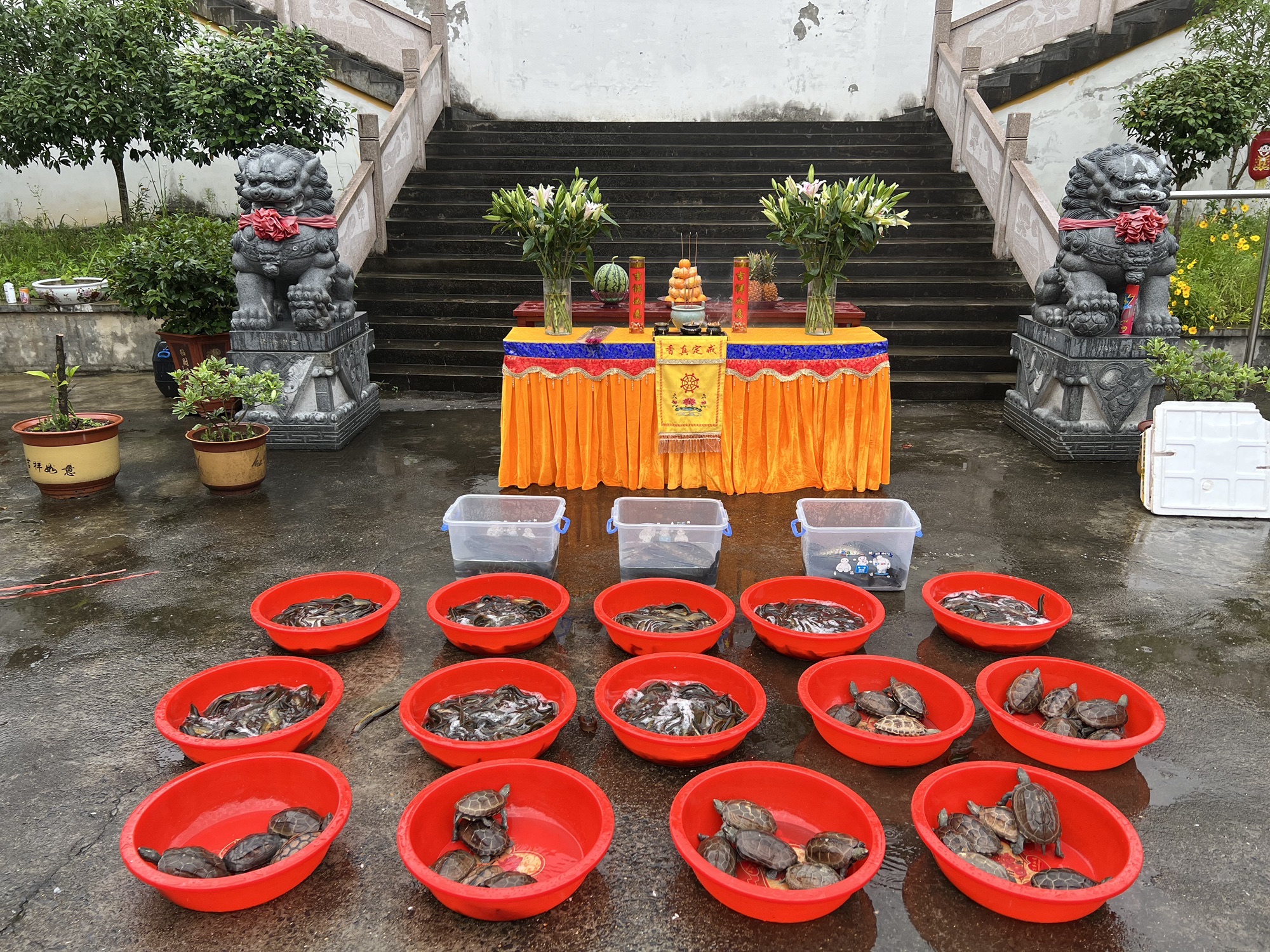 普济寺实景照片