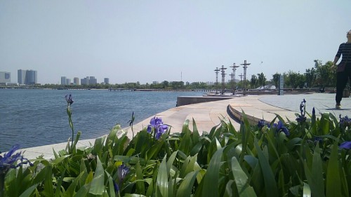 金海湖景区旅行图片 3