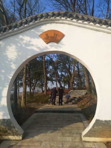 易家林园旅行图片 1