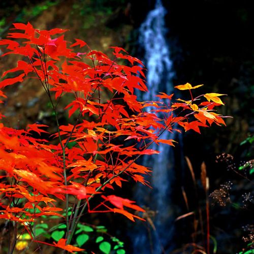 天生桥 景点照片