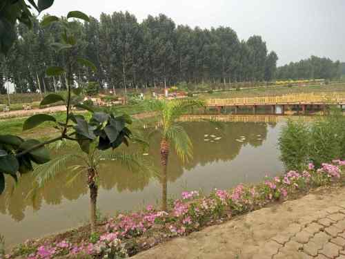 雄关御道·古淀梨湾旅行图片 3