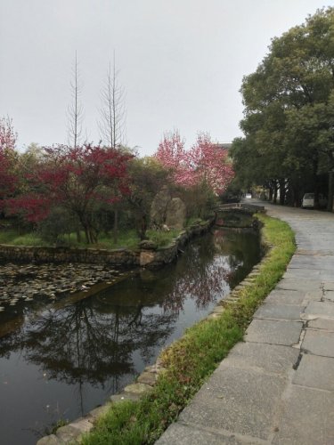 得雨生态园(不对外开放)旅行图片 1