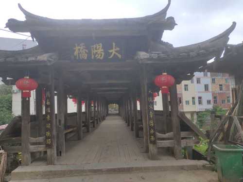 大阳桥旅行图片 1