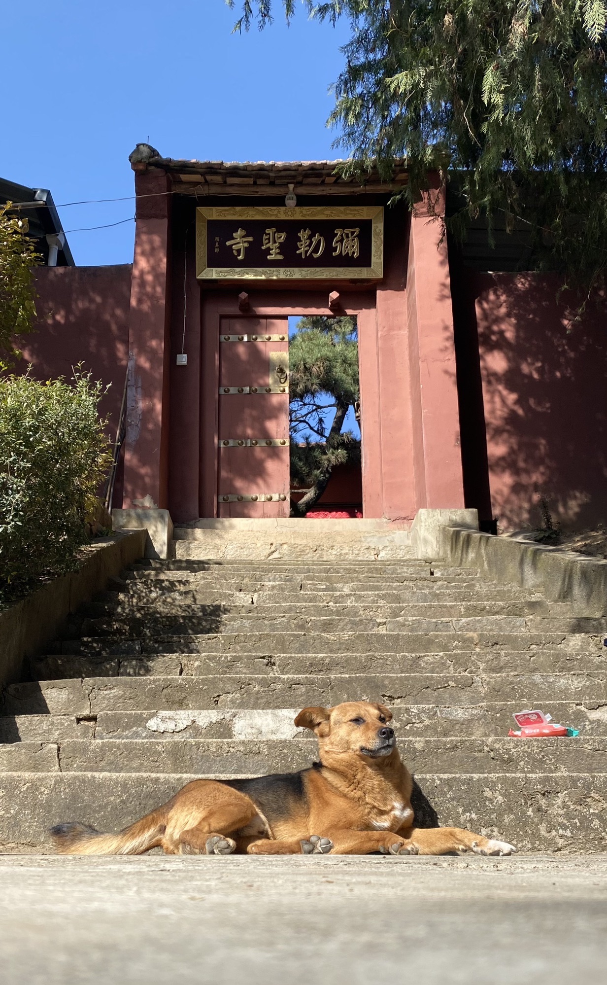 弥勒圣寺实景照片