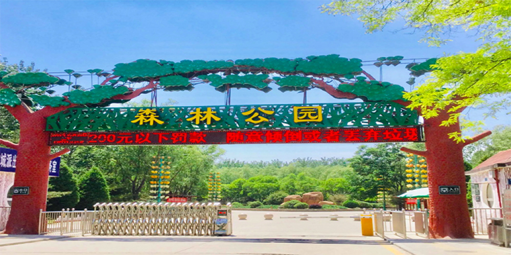 太原市森林公园景点图片