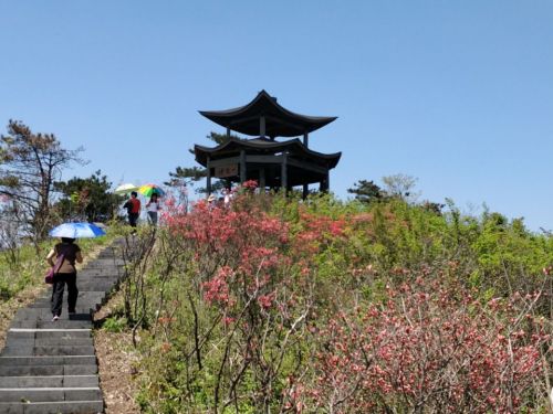 高姥山省级度假区旅行图片 3
