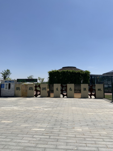 鹦鹉洲生态湿地旅行图片 3
