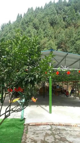 龙神垭景区旅行图片 1