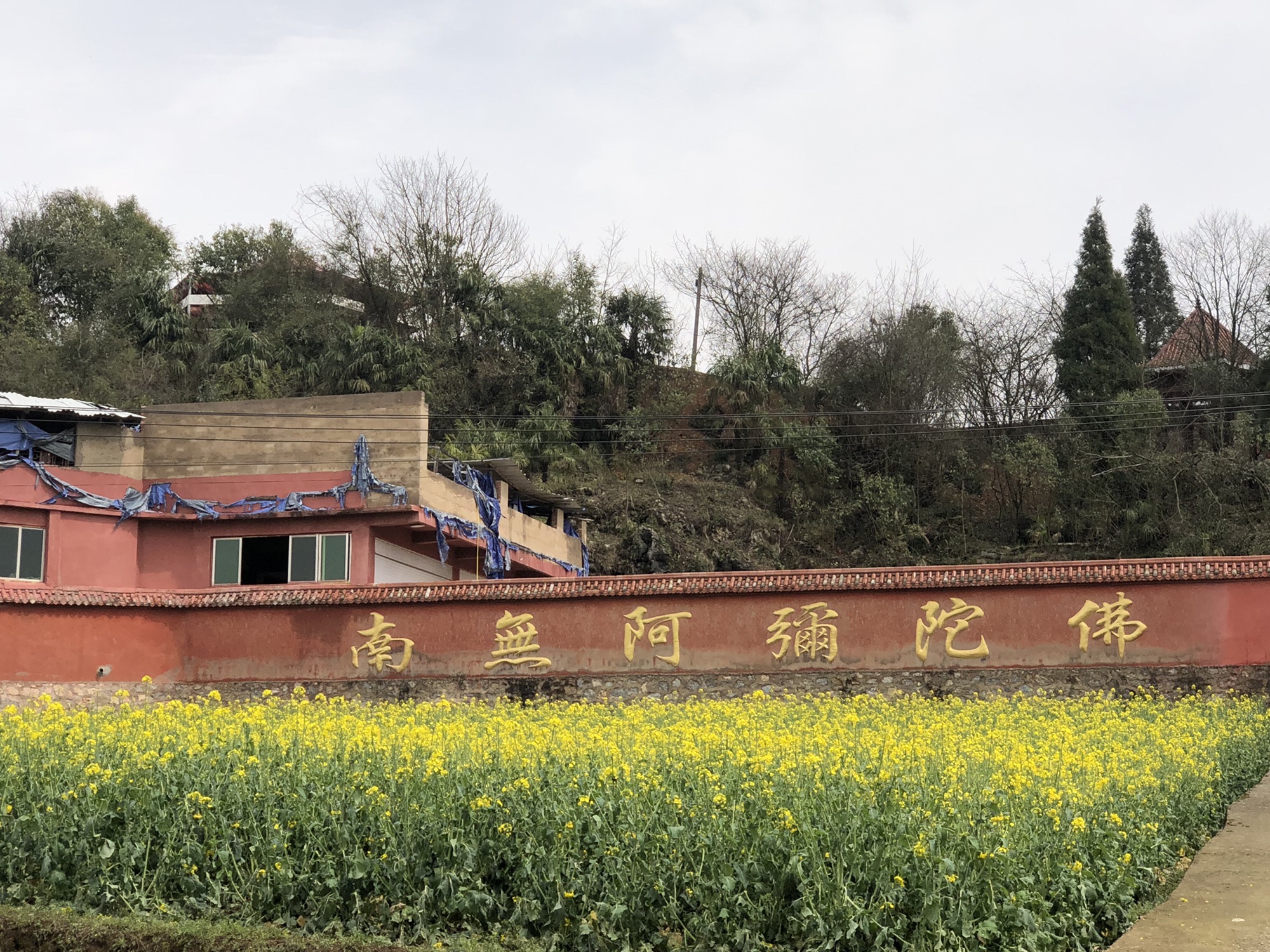 佛光寺实景照片