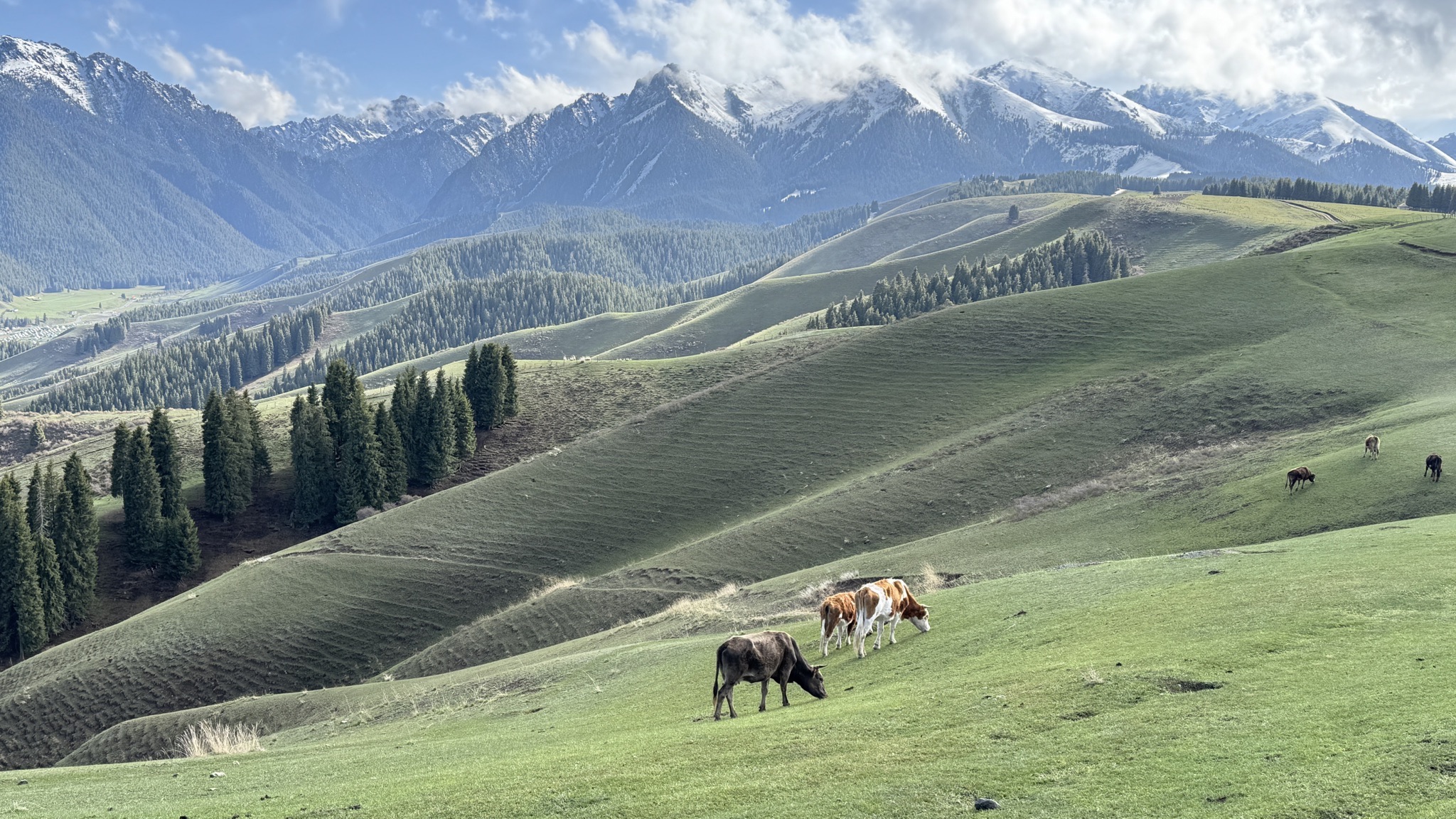 Nanshan Pasture West Baiyanggou Scenic Area